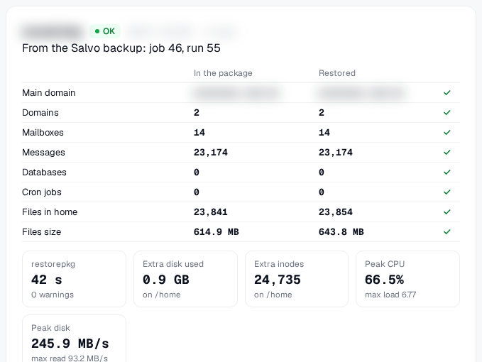 The result of the restore from the panel: what was in the backup and what came back, item by item, and what the server felt.